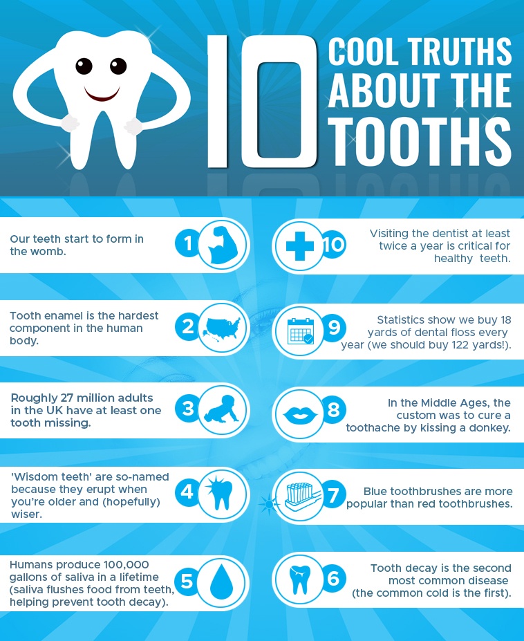 tooth infographic